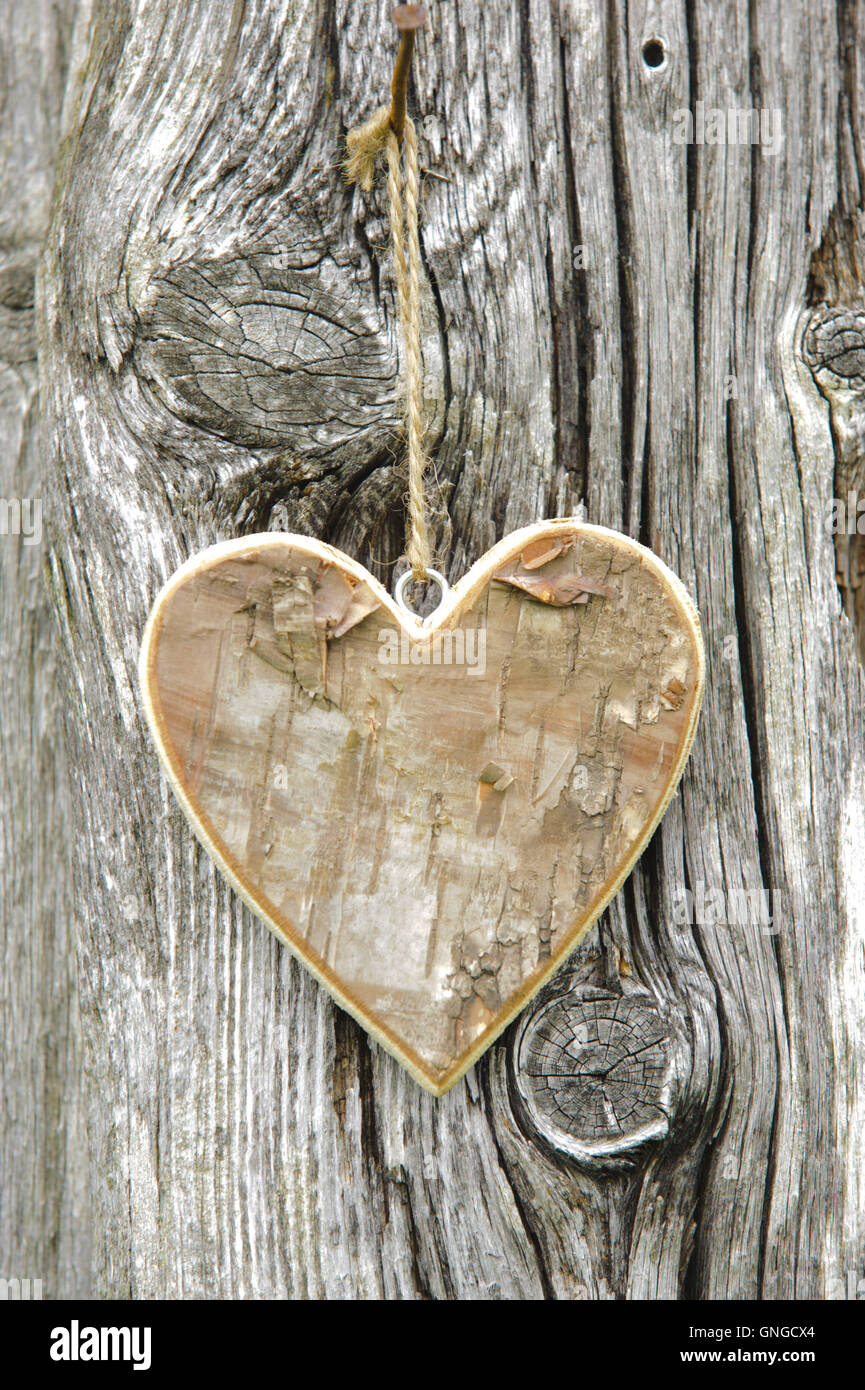 Heart on the tree Stock Photo