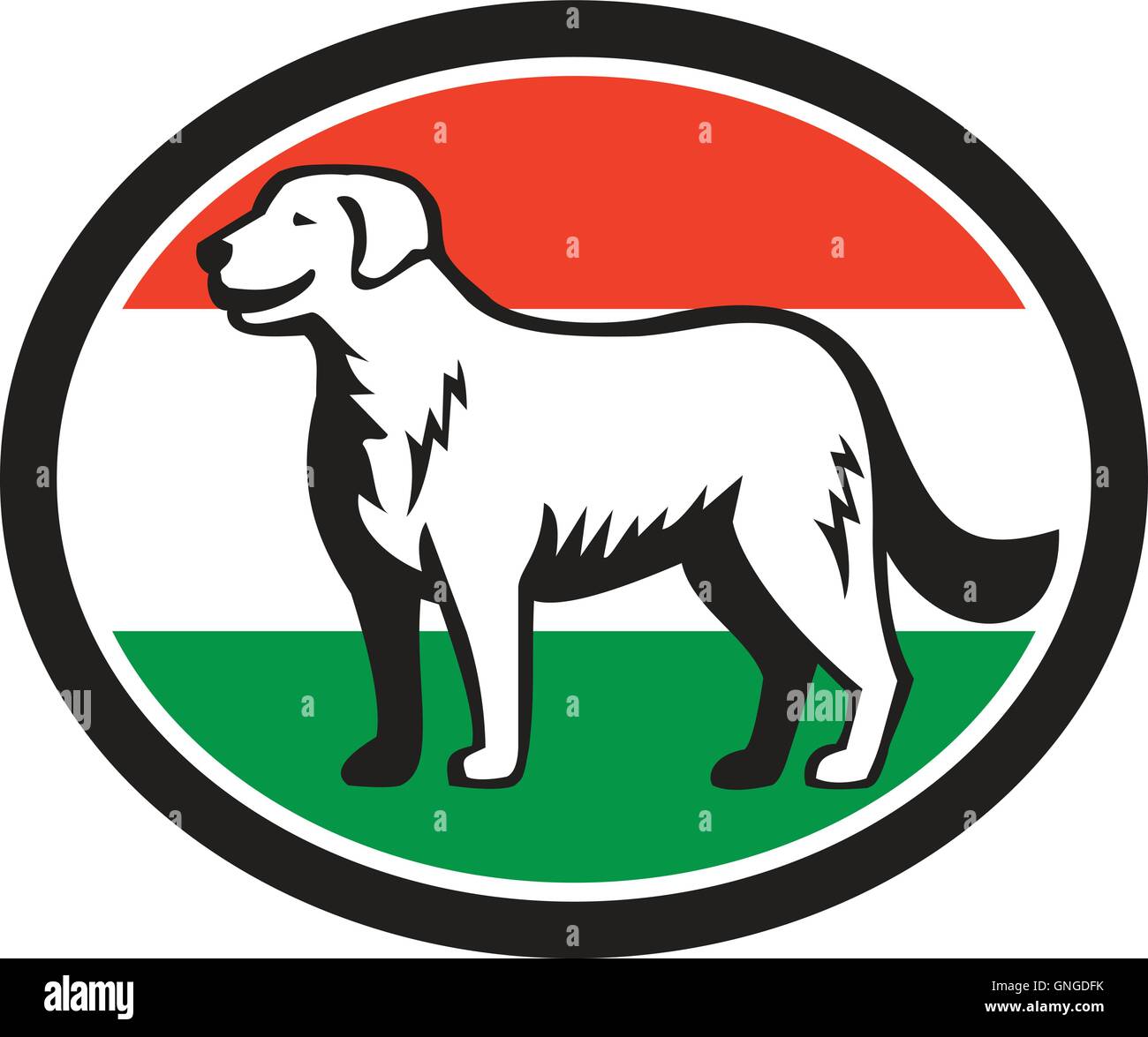 Kuvasz Dog Hungarian Flag Oval Retro Stock Vector