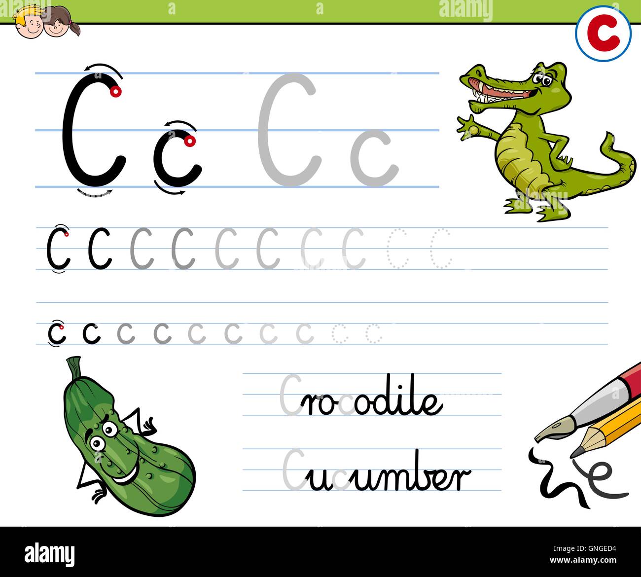 English alphabet letter c - cup abc square flash Vector Image