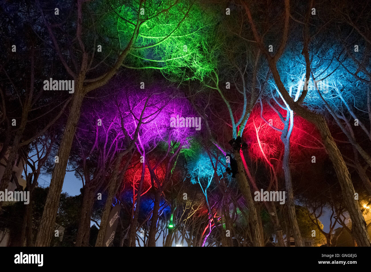 Lights in the trees decorate the canopy for the Estoril Craft Fair Stock Photo