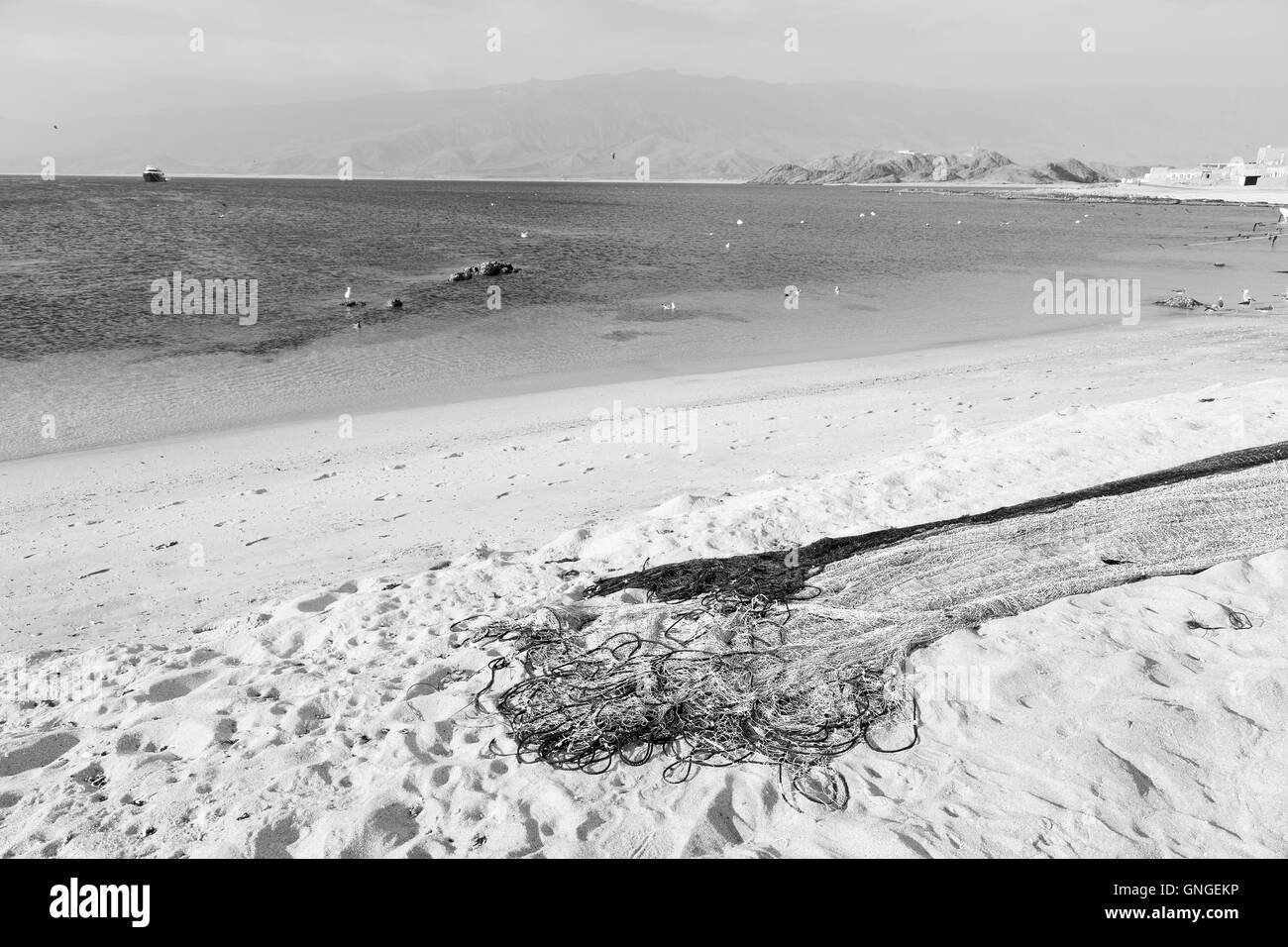 Oman beach sandy Black and White Stock Photos & Images - Alamy