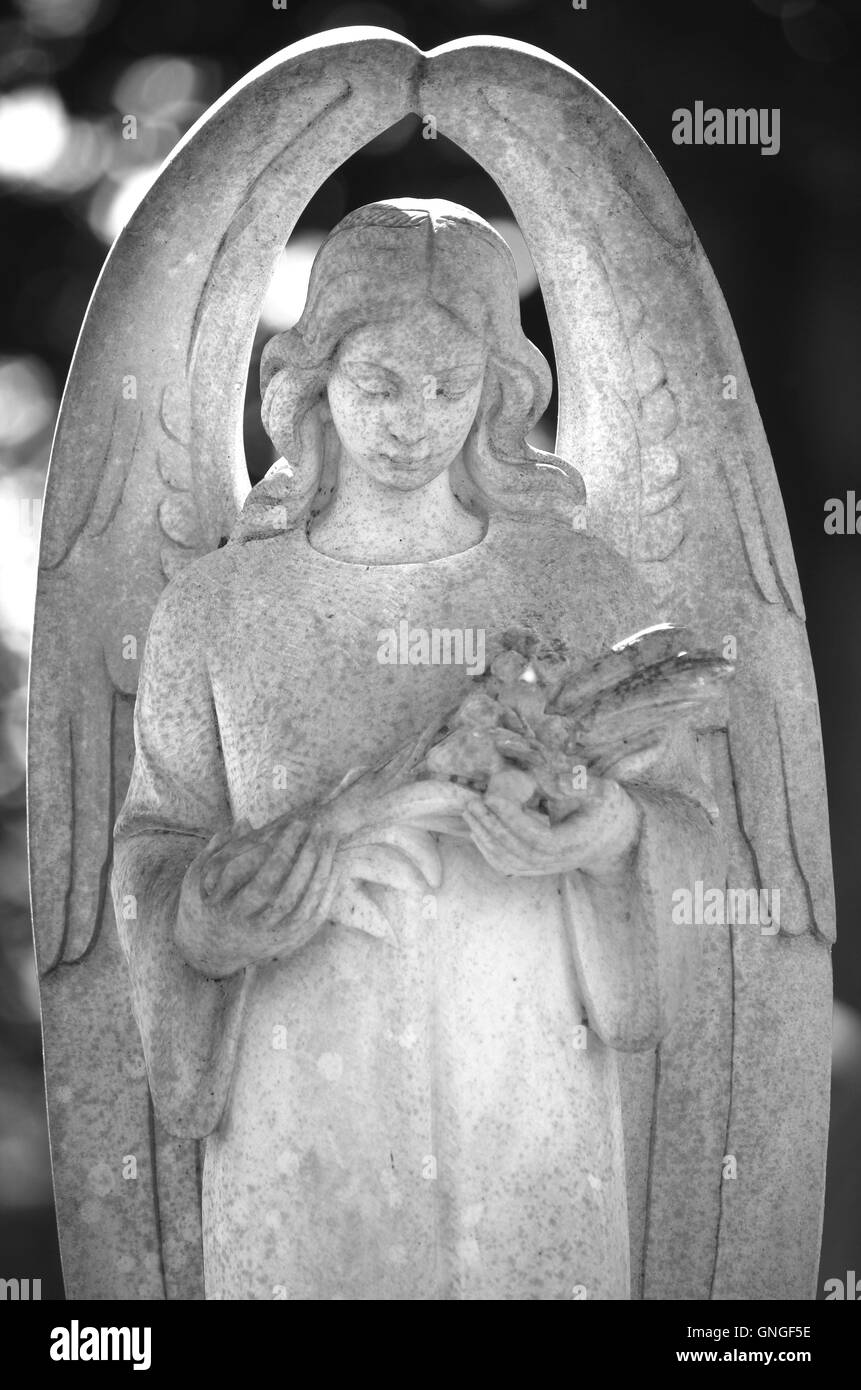 Cemetery graveyard stone angel statue. Black and white image . Stock Photo