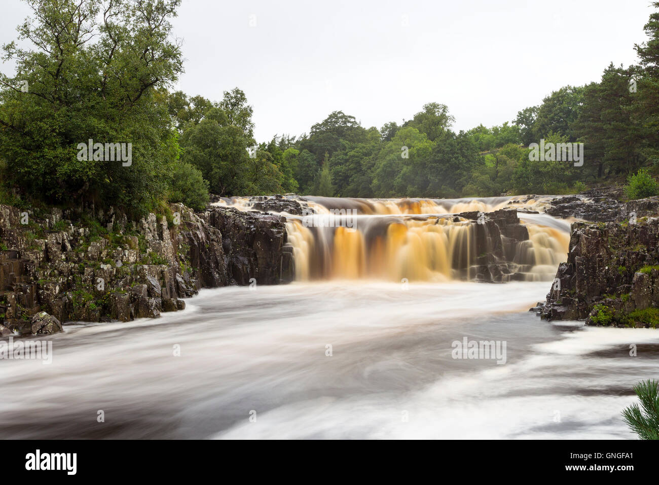 Low Force on a Rainy Summer Day, Bowlees, Teesdale, County Durham, UK Stock Photo