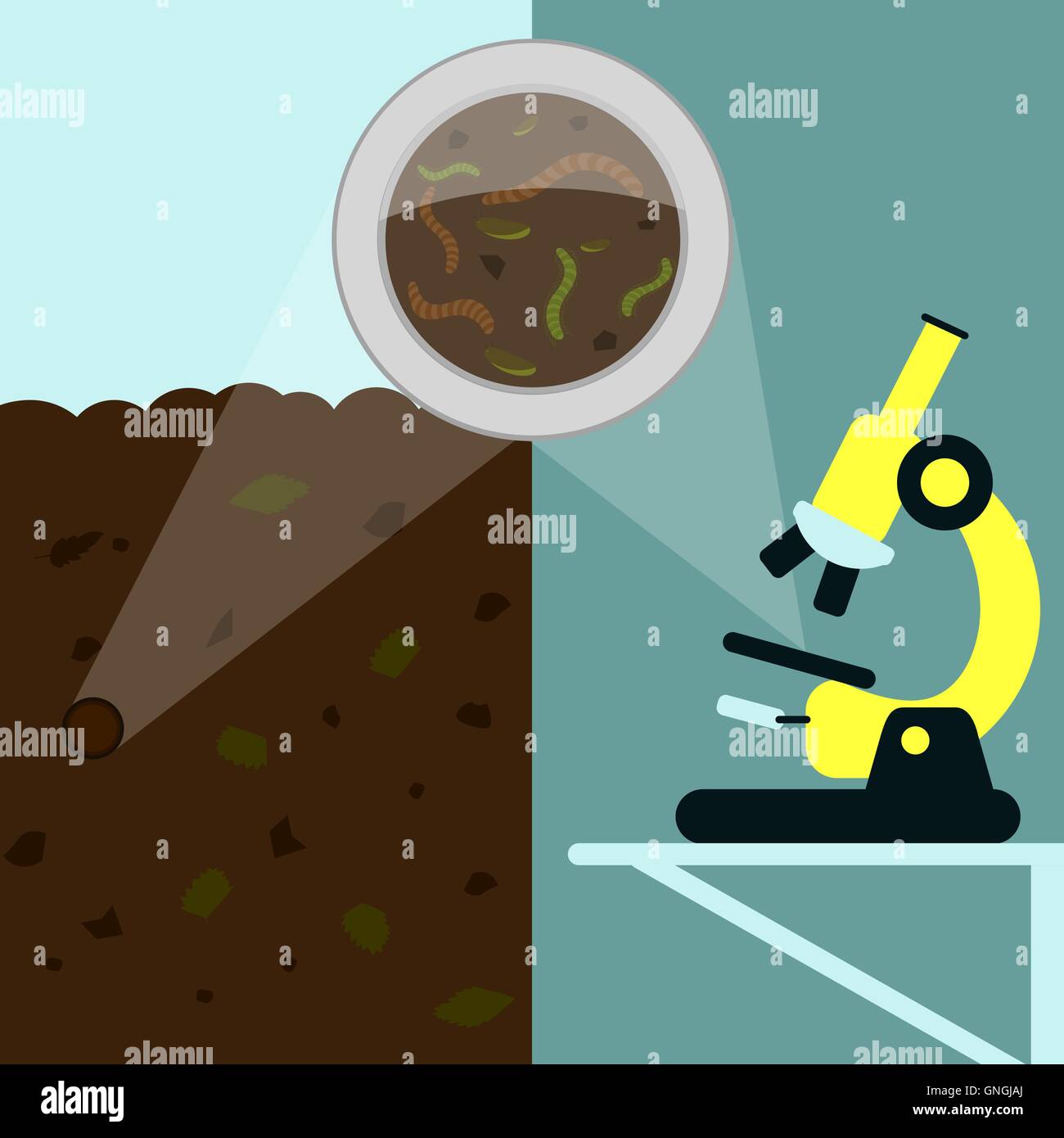 Magnifying glass enlarging earthworm and insects on the earth with decaying leaves. Soil sample being analyzed under the microsc Stock Vector