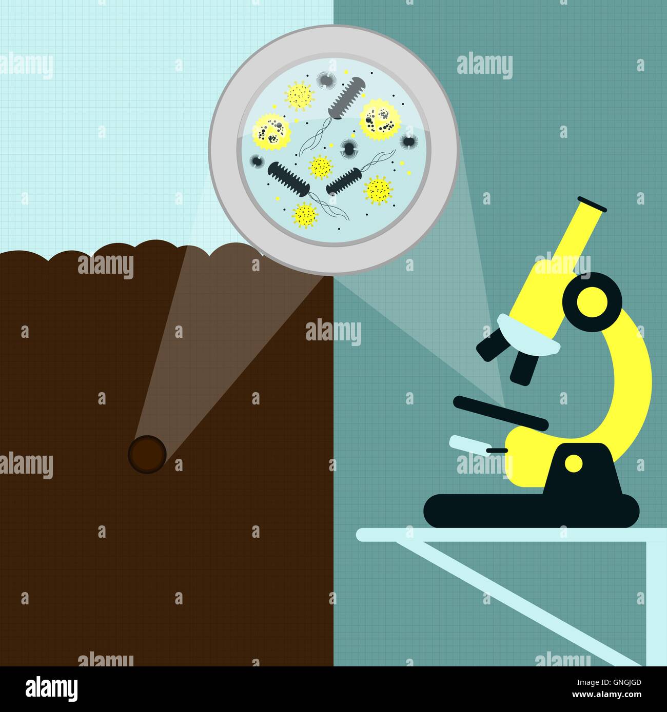 Magnifying glass enlarging the bacteria and virus on the