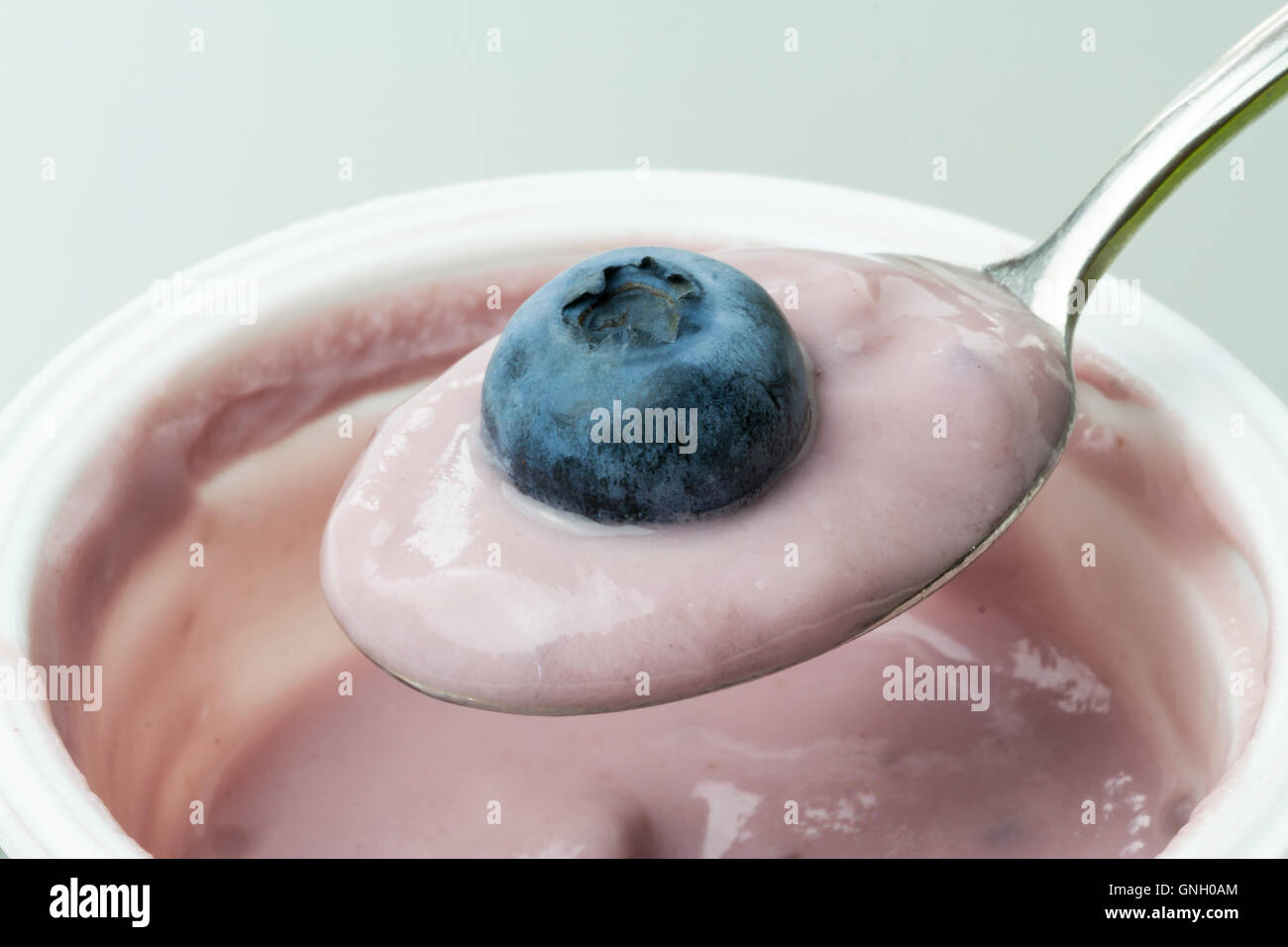 close-up of spoon of yogurt with blueberries Stock Photo