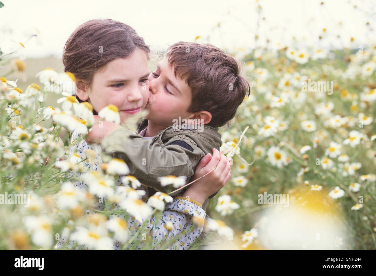Boy kissing a girl's cheek in field of daisies, Andalucia, Spain Stock Photo