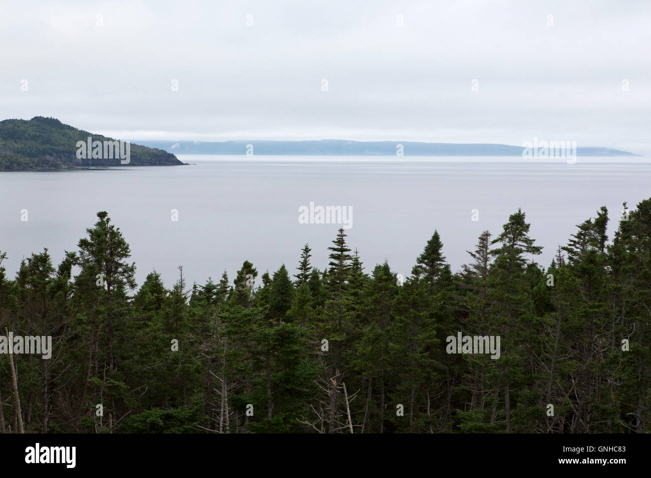 A view of the coastline and woodland from the Doctor's House Inn and Spa at Green's Harbour in Newfoundland and Labrador, Canada Stock Photo