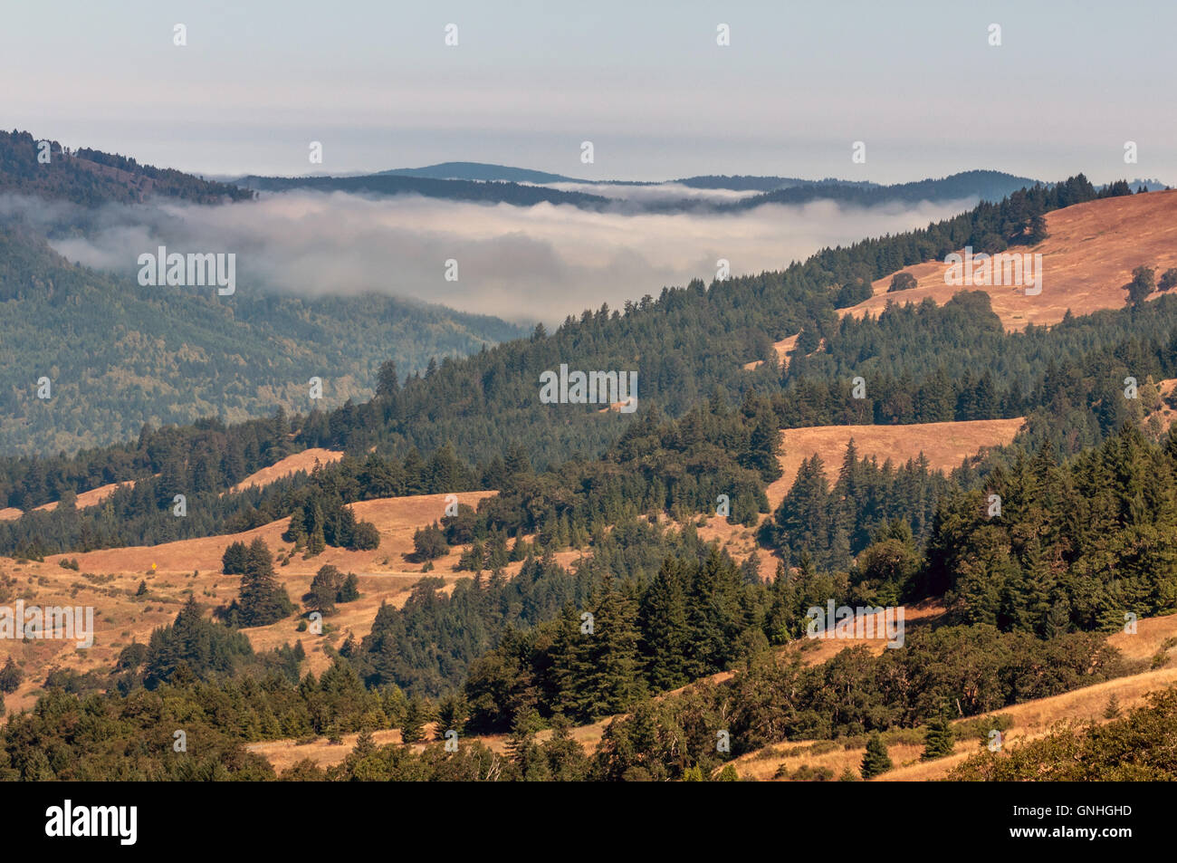 Mist across a valley in northern California Stock Photo