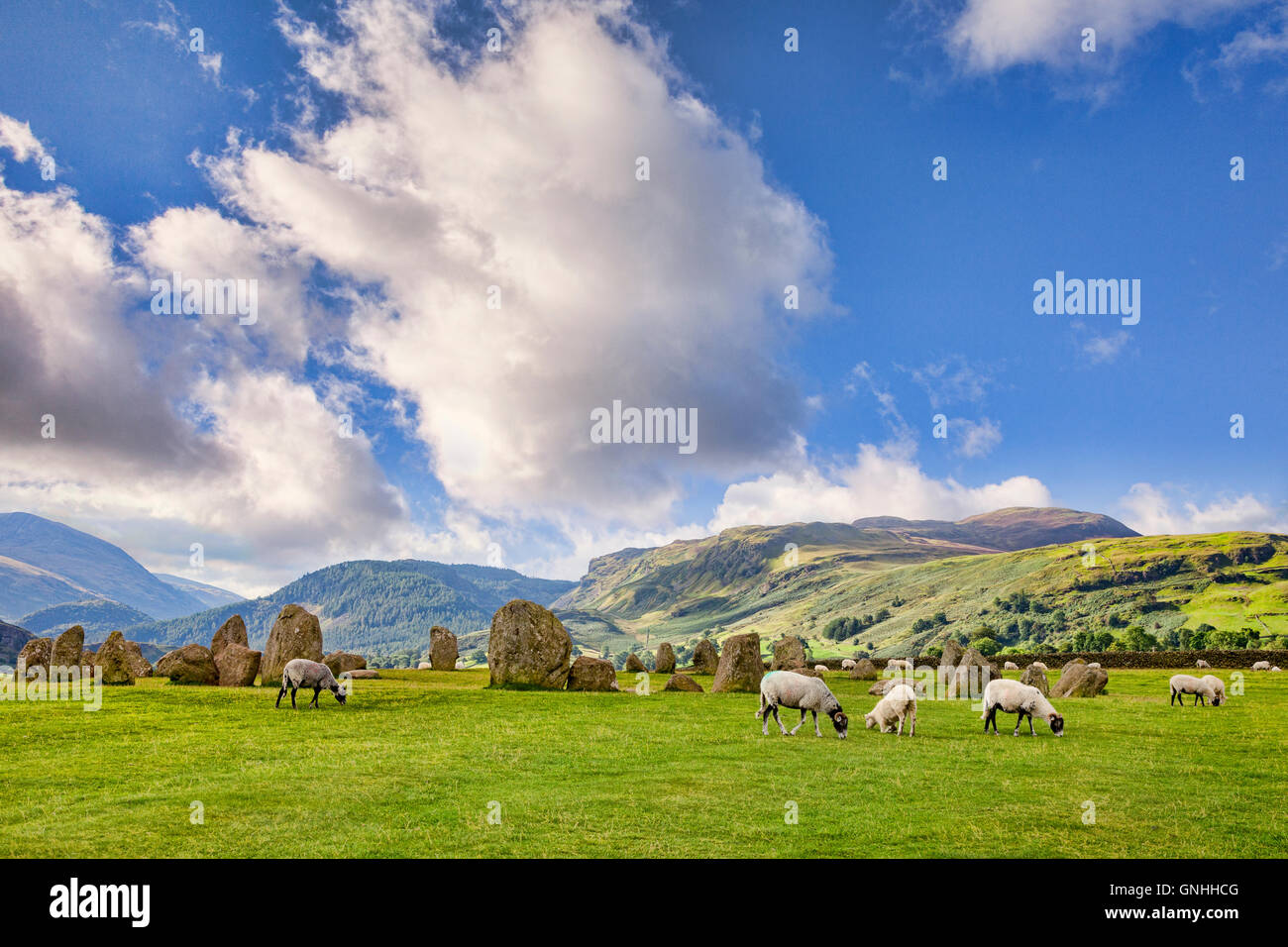 Castlerigg Stone Circle and sheep, Cumbria, England, UK Stock Photo