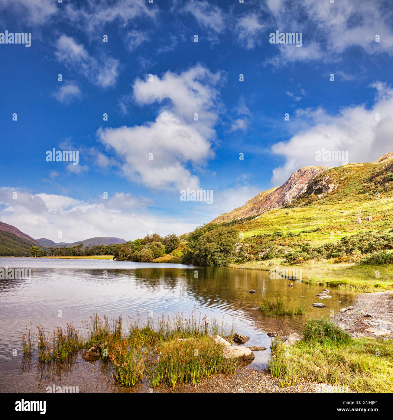 Lake Buttermere, Lake District National Park, Cumbria, England, UK Stock Photo