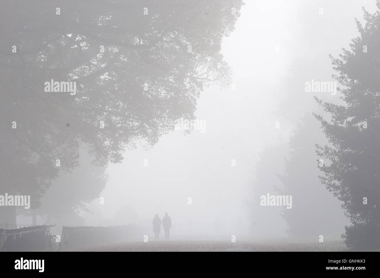 A foggy day in Preston Park Brighton Stock Photo