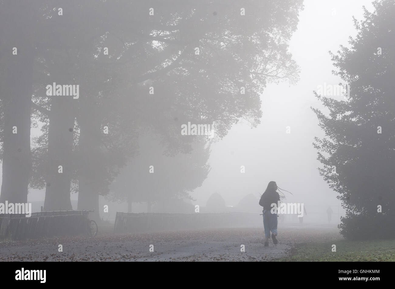 A foggy day in Preston Park Brighton Stock Photo