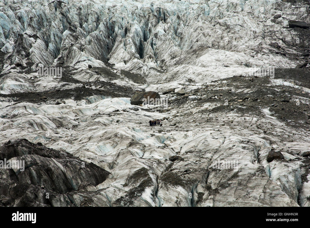 On top of Fox glacier in the Southern Alps of New Zealand tourist are guided in spectacular tours. Stock Photo