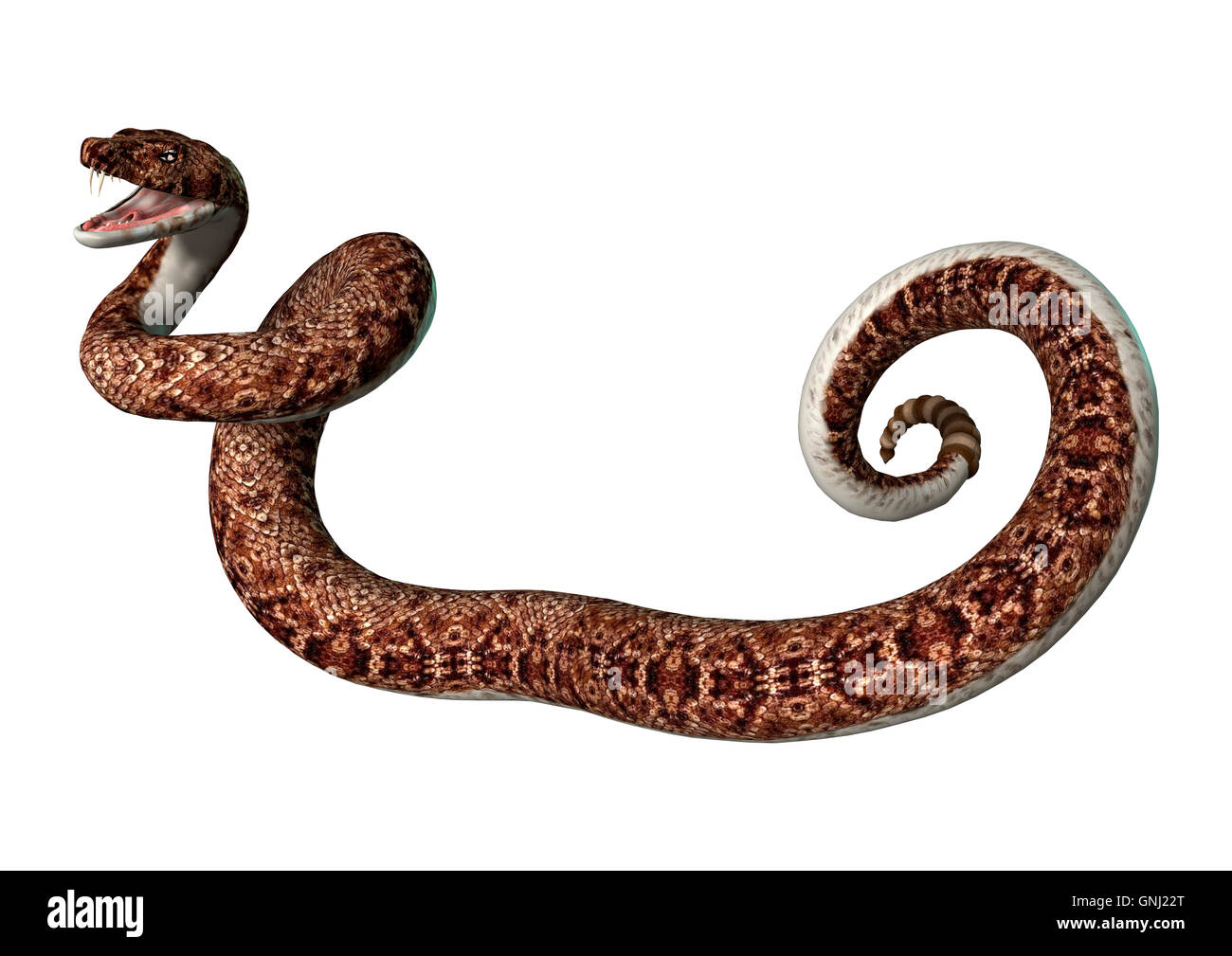 3D rendering of a rattlesnake isolated on white background Stock Photo