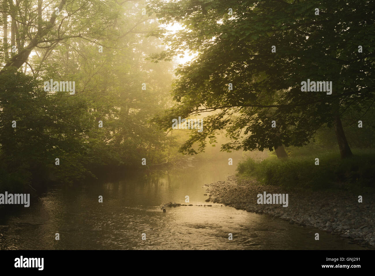 Sunrise over Elterwater, Lake District, Cumbria, England, United Kingdom Stock Photo