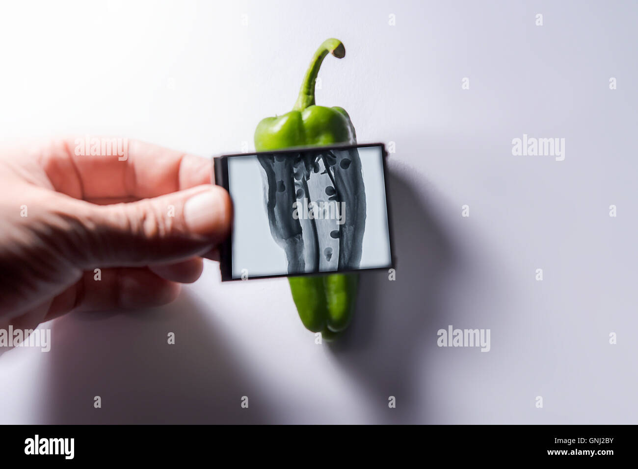 Hand holding x-ray image in front of green pepper Stock Photo