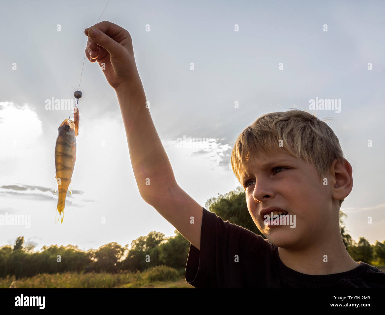 Boy holding perch fish Stock Photo