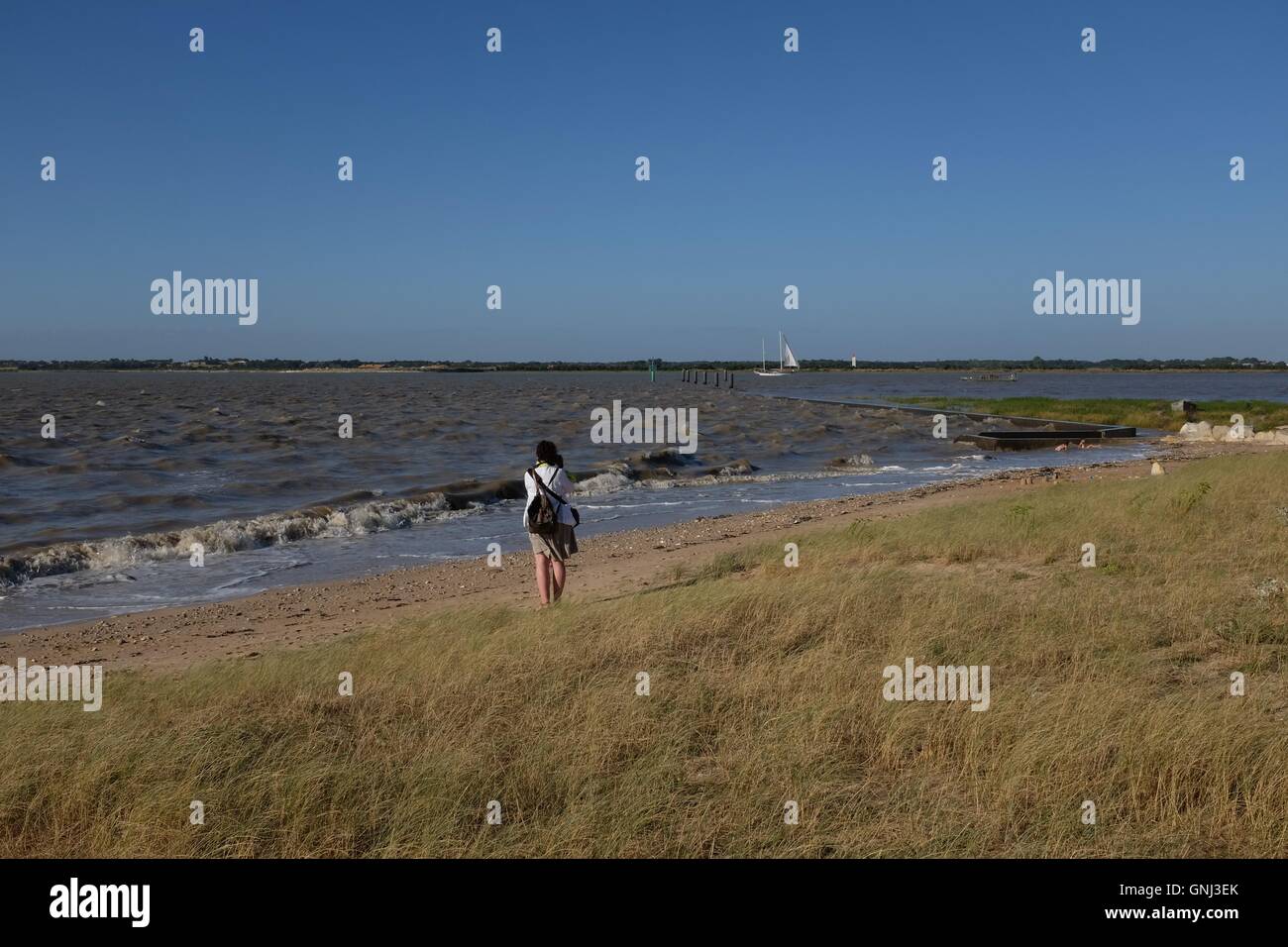 Woman walking by estuary, Rochefort, France Stock Photo