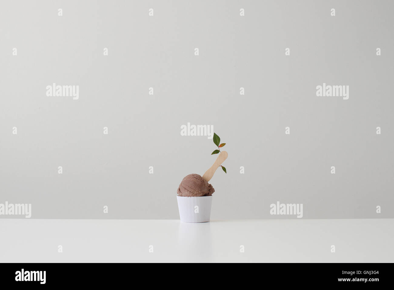 Conceptual tub of chocolate ice-cream with flower on a stick Stock Photo