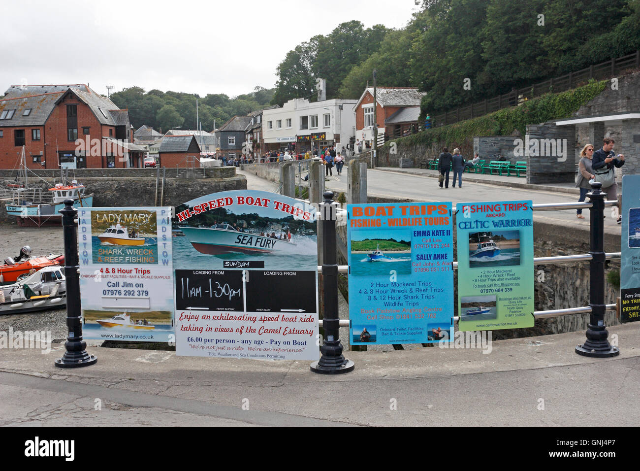 Fishing trip posters in Padstow Harbour, Cornwall Stock Photo Alamy
