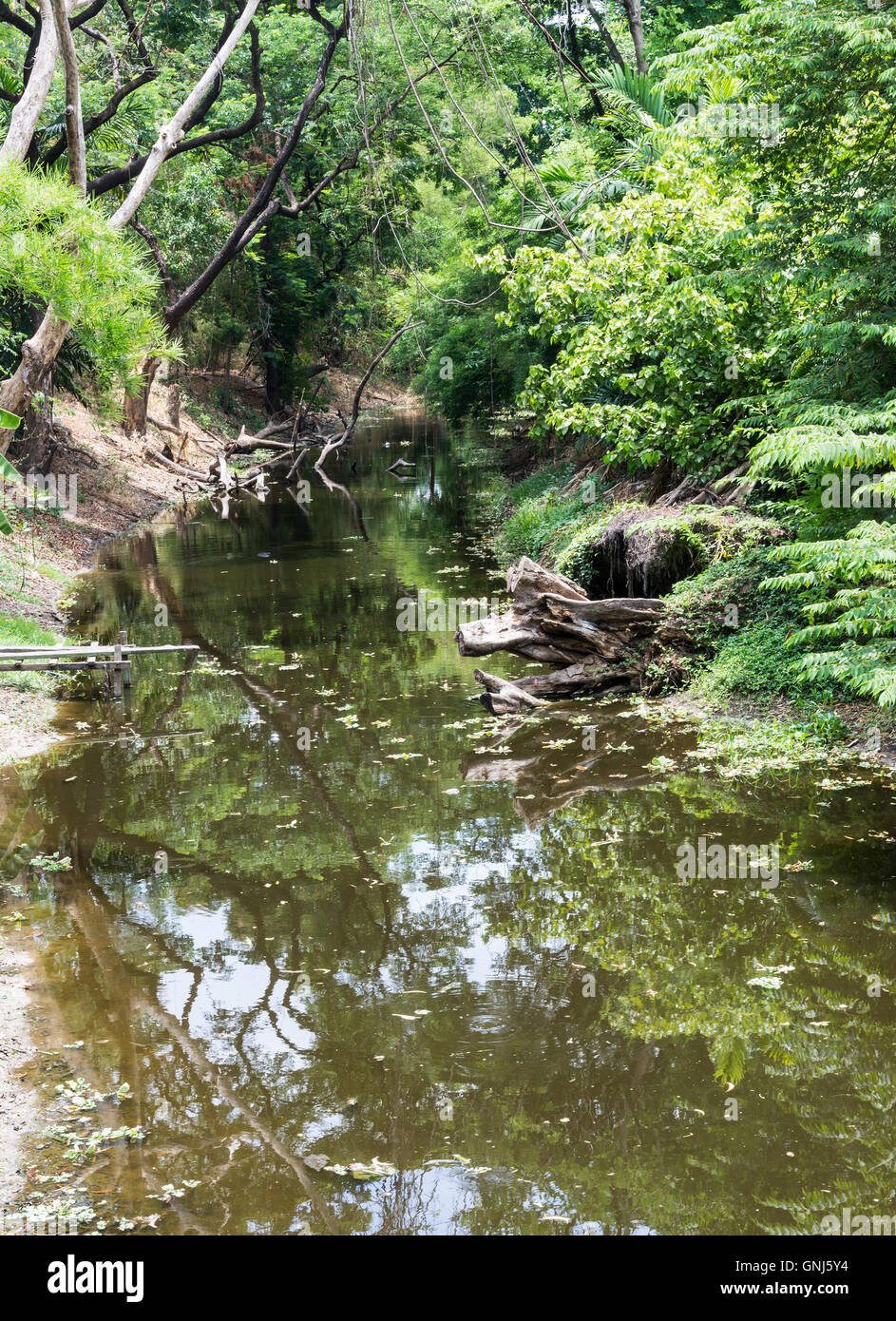 Tranquil scenery hi-res stock photography and images - Alamy