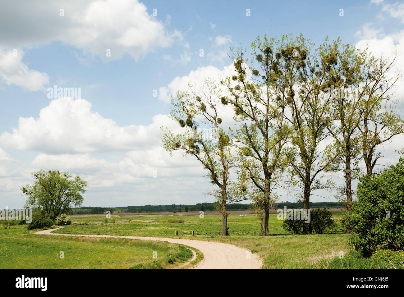 country ground road or rural beautiful landscape Stock Photo