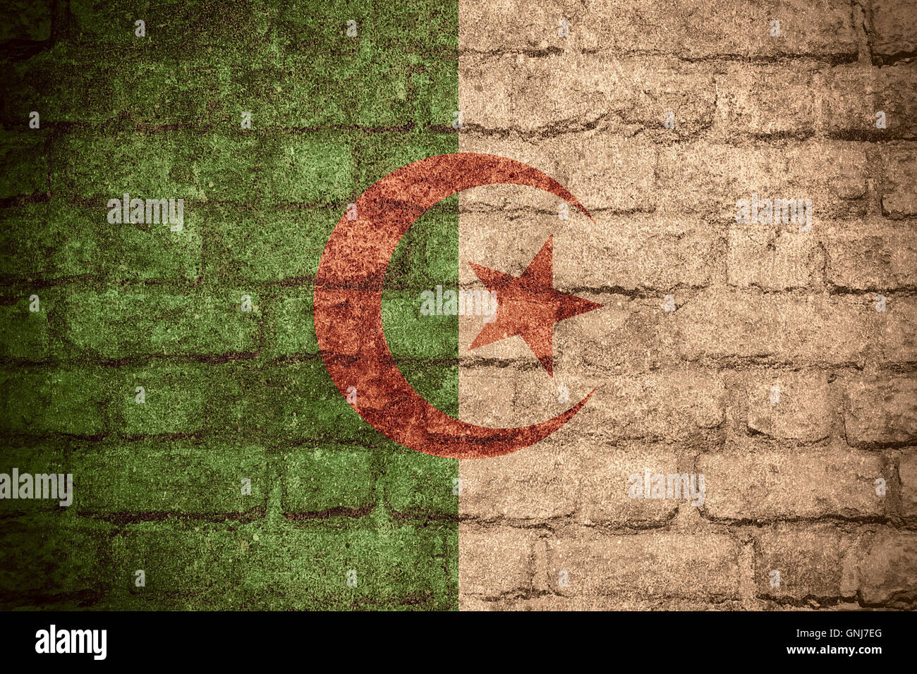 flag of Algeria or Algerian banner on brick texture Stock Photo