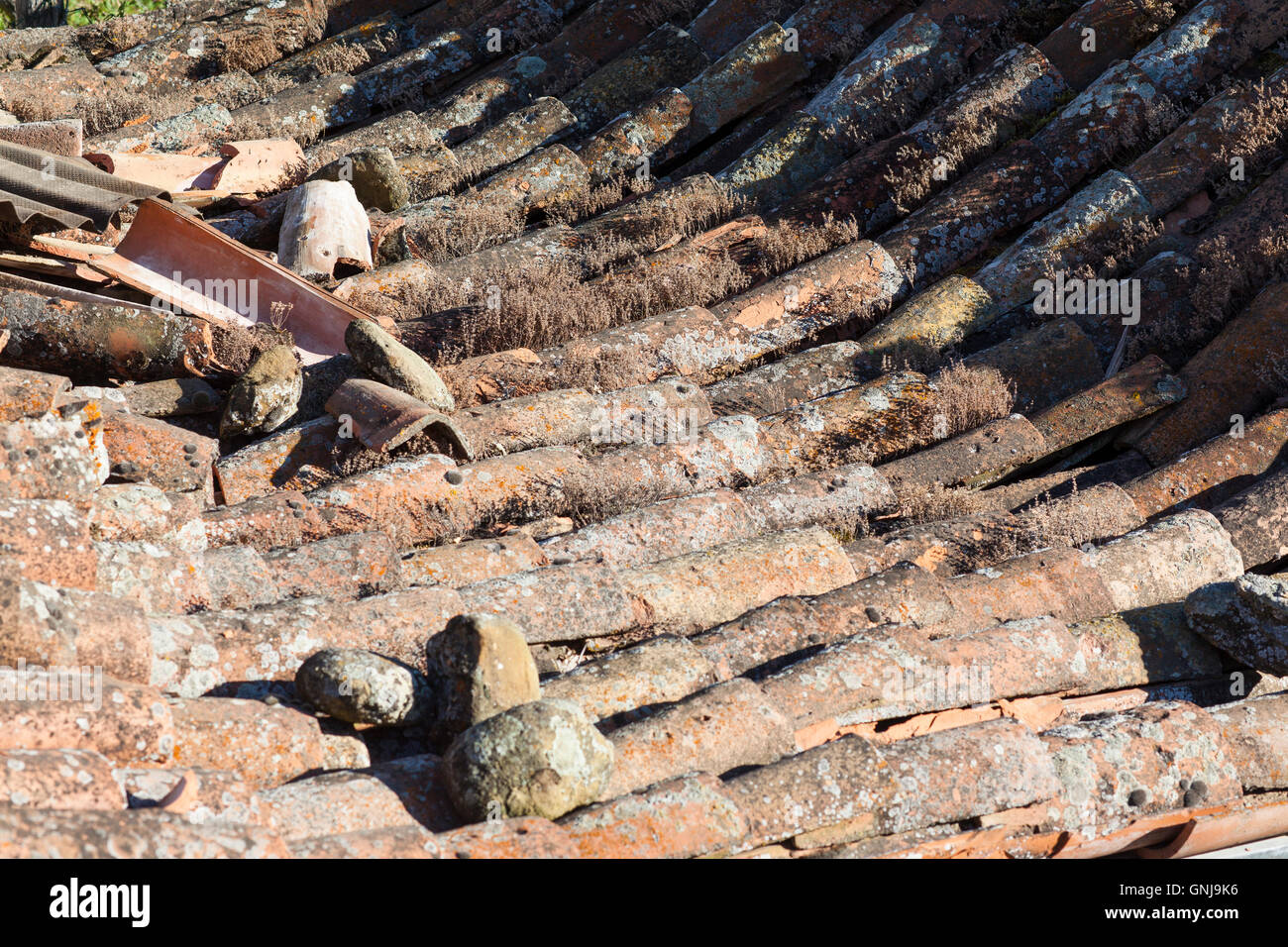 Aftermath of earthquake amatrice hi-res stock photography and images ...