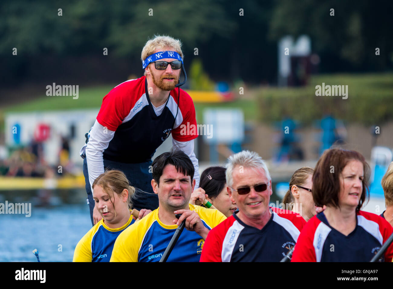 Cox leading his team a dragon boat race in the UK Stock Photo