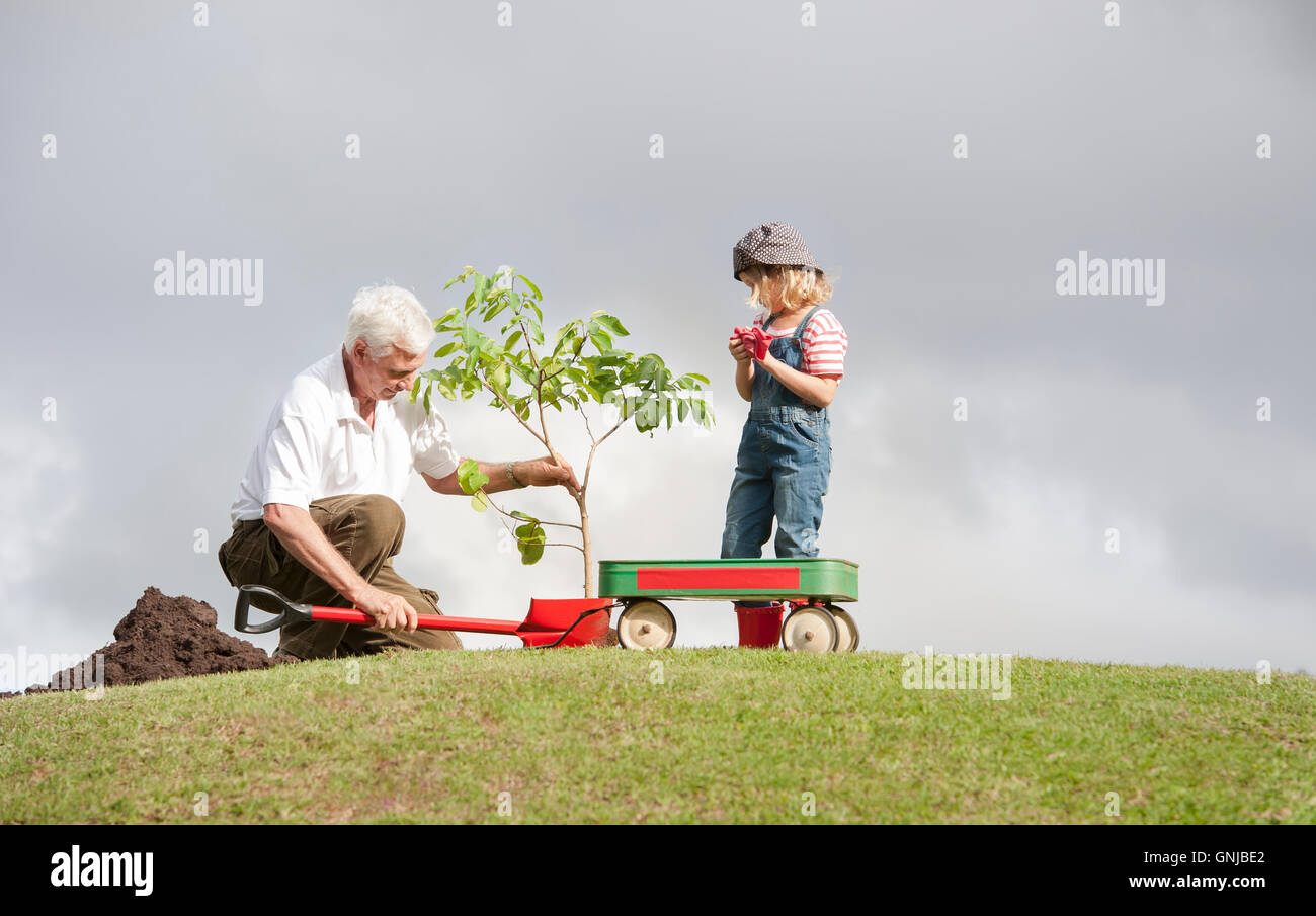 Дедушка посадил дерево 54. Дед и внук в огороде. Внук и дедушка сажают дерево. Бабушка и дедушка внуки в огороде. Дедушка сажает дерево.