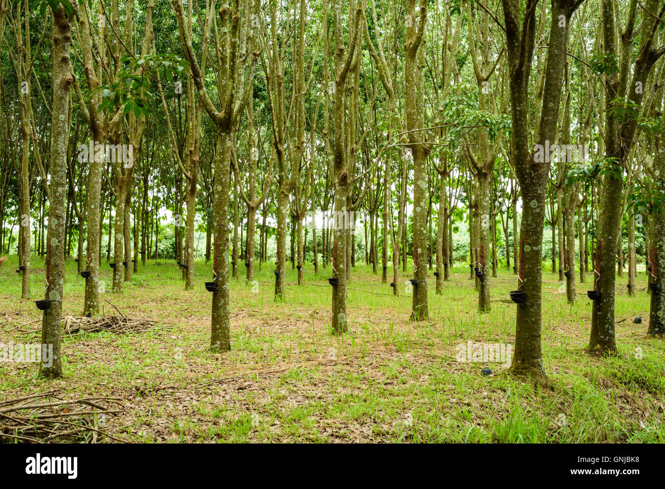 Para industrial hi-res stock photography and images - Alamy