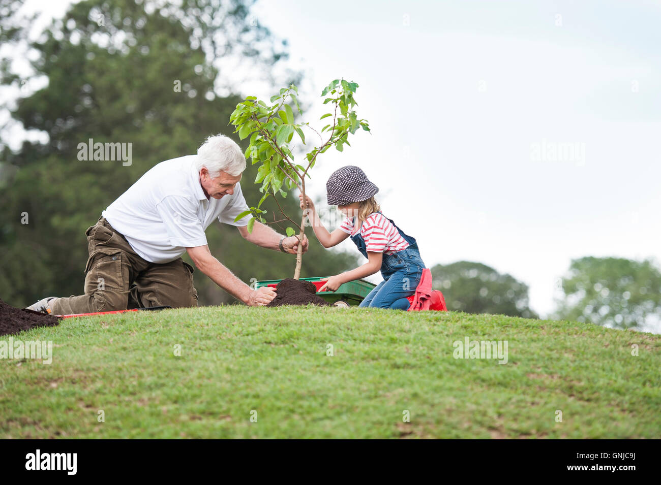 Дедушка посадил дерево 54. Дед с внуком сажают дерево. Дедушка сажает дерево. Старик и дерево. Семья сажает дерево.
