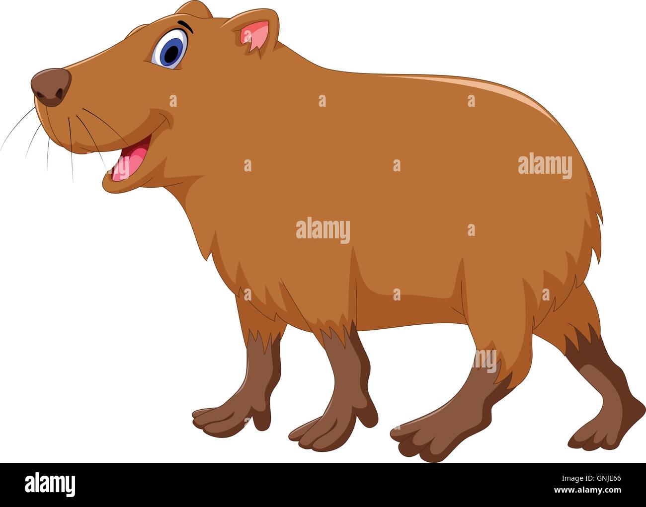 Capybara Engraçada E Fofa Feliz Na Ilustração Vetorial De Roedores