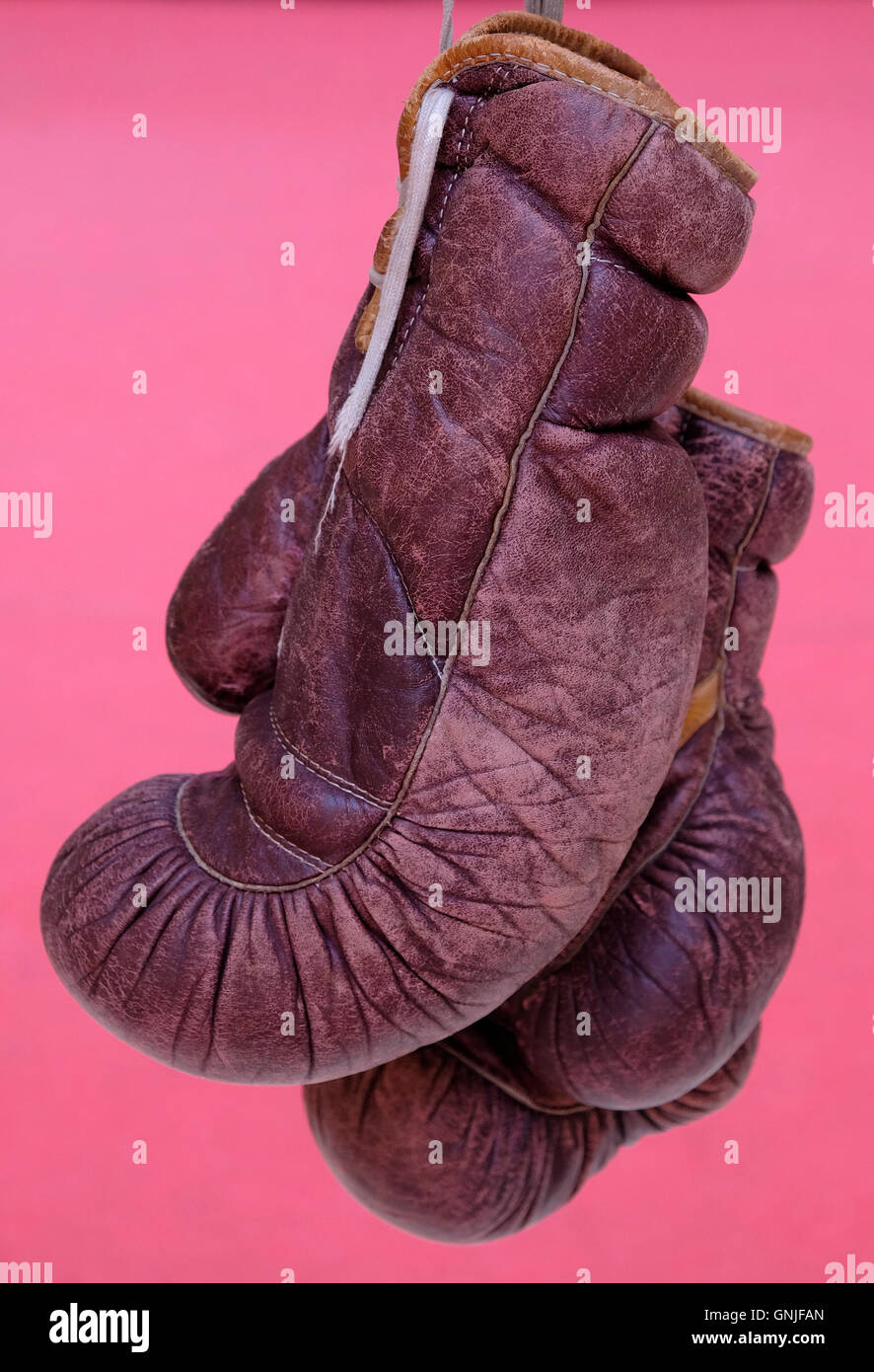 A pair of leather boxing gloves Stock Photo Alamy