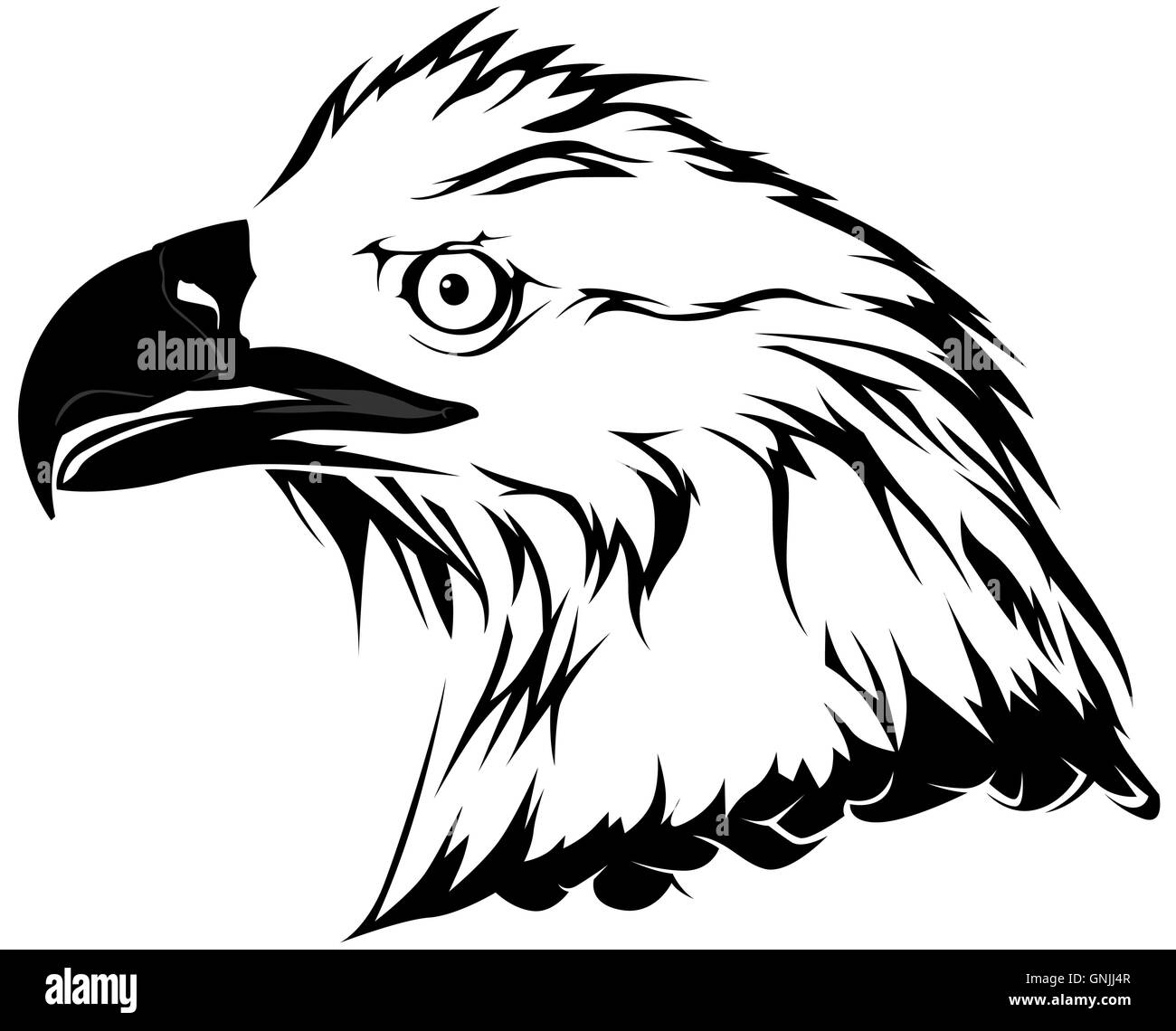 Bald eagle drawing Black and White Stock Photos & Images - Alamy