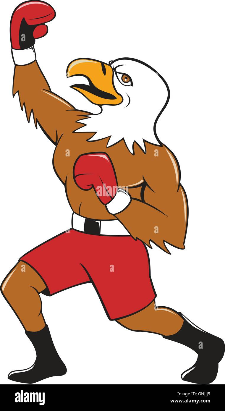 Bald Eagle Boxer Pumping Fist Cartoon Stock Vector