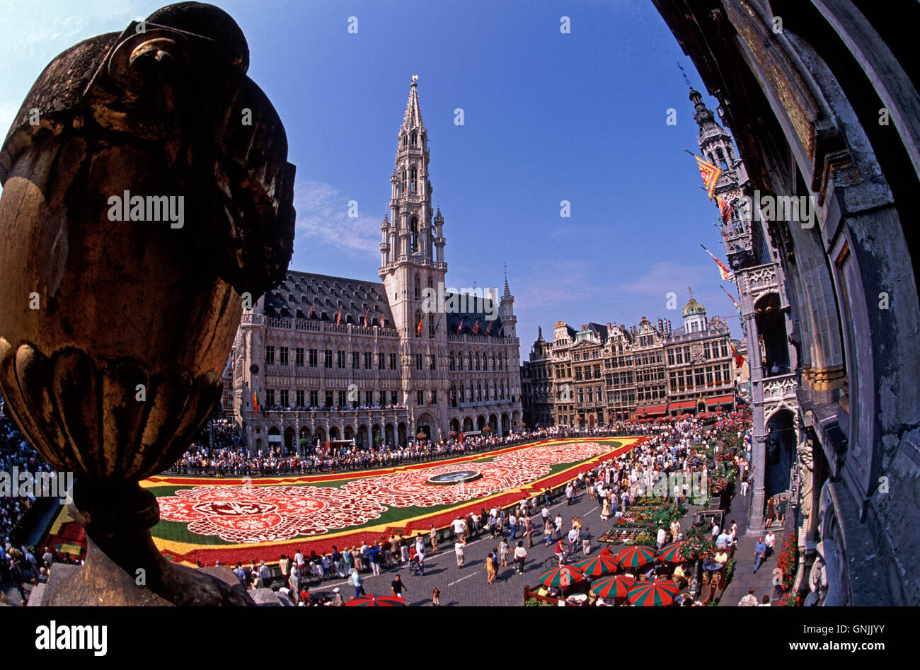 Flower Carpet in the Grand Place, Brussels, Belgium Stock Photo