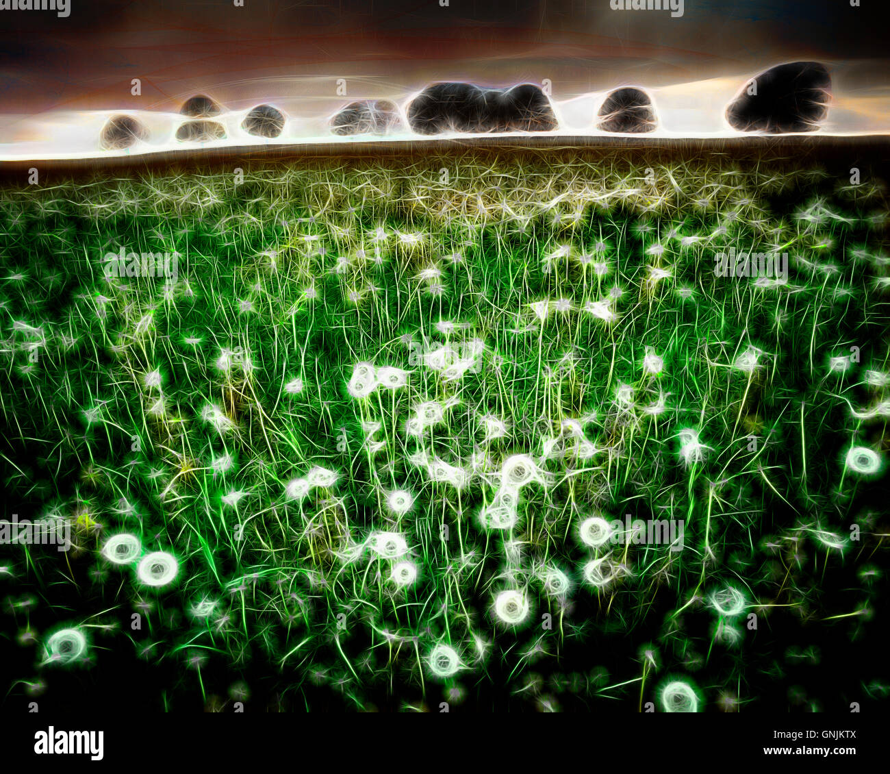 Digital landscape hi-res stock photography and images - Alamy