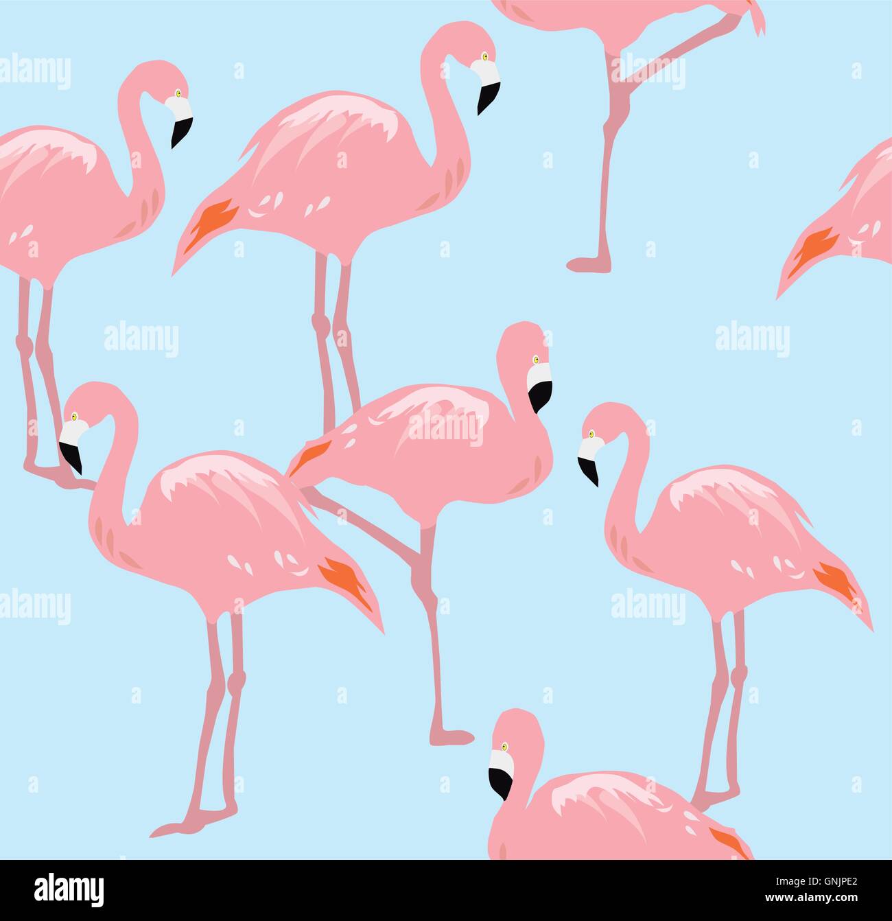 vector flamingo seamless background Stock Vector Image & Art - Alamy