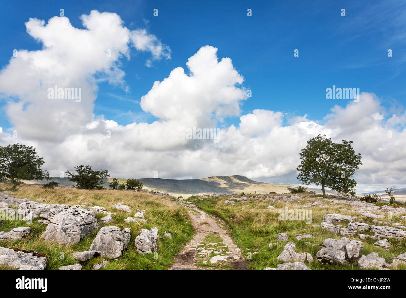 View of Whernside in distance. Yorkshire Three Peaks, Yorkshire Dales, UK Stock Photo