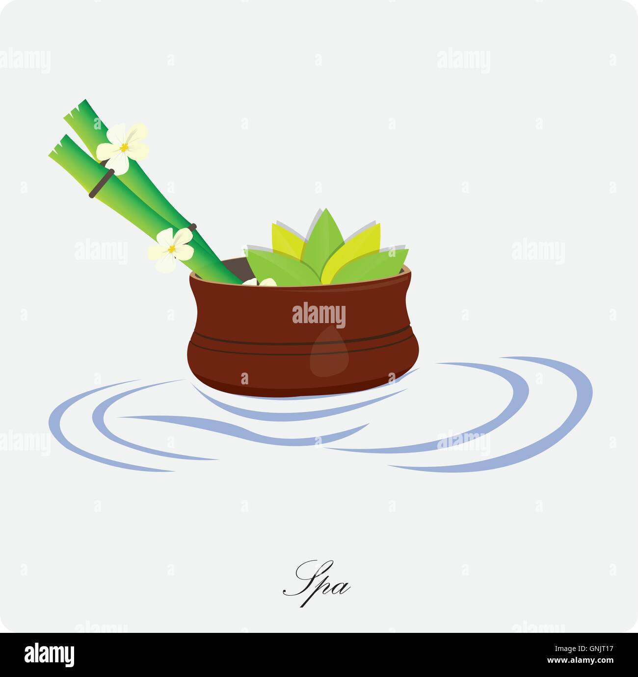Isolated pot with bamboo sticks and flowers on a white background Stock