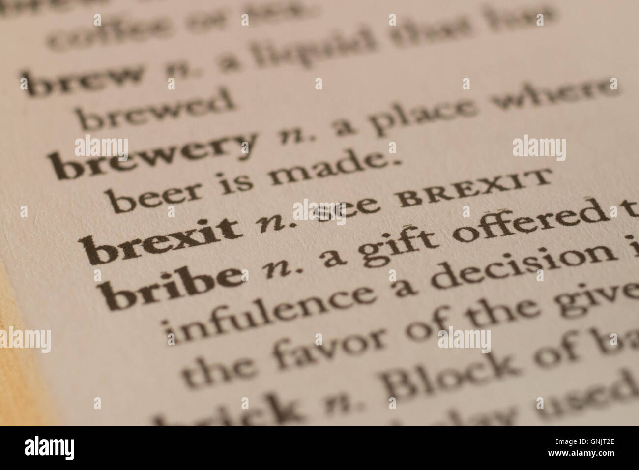 A 'dictionary' definition showing 'Brexit means brexit' Stock Photo
