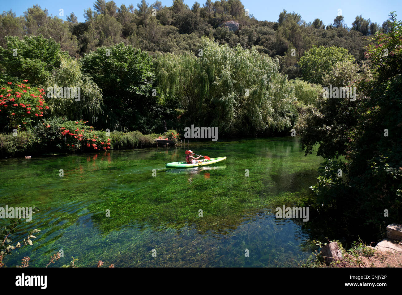Young boy paddling on kayak along the river Sorgue with crystal clear water  during leisure activity. Child and summer sport Stock Photo - Alamy