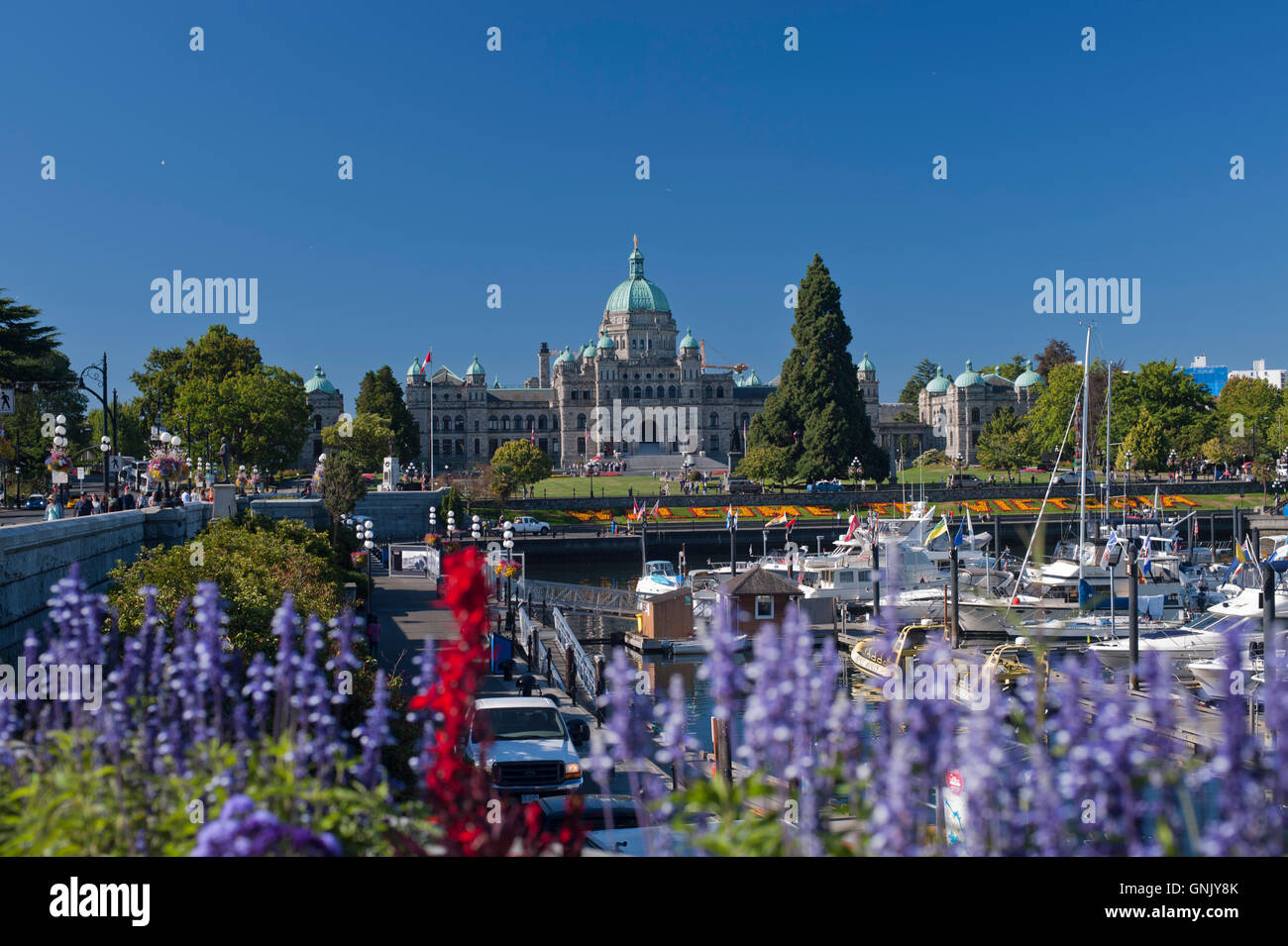 British Columbia Legislature building, Victoria, BC, Canada Flowers in foreground Stock Photo