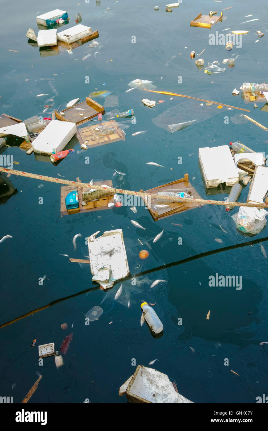 Marine pollution, Waste and rubbish, dead fish floating in sea, Spain. Stock Photo