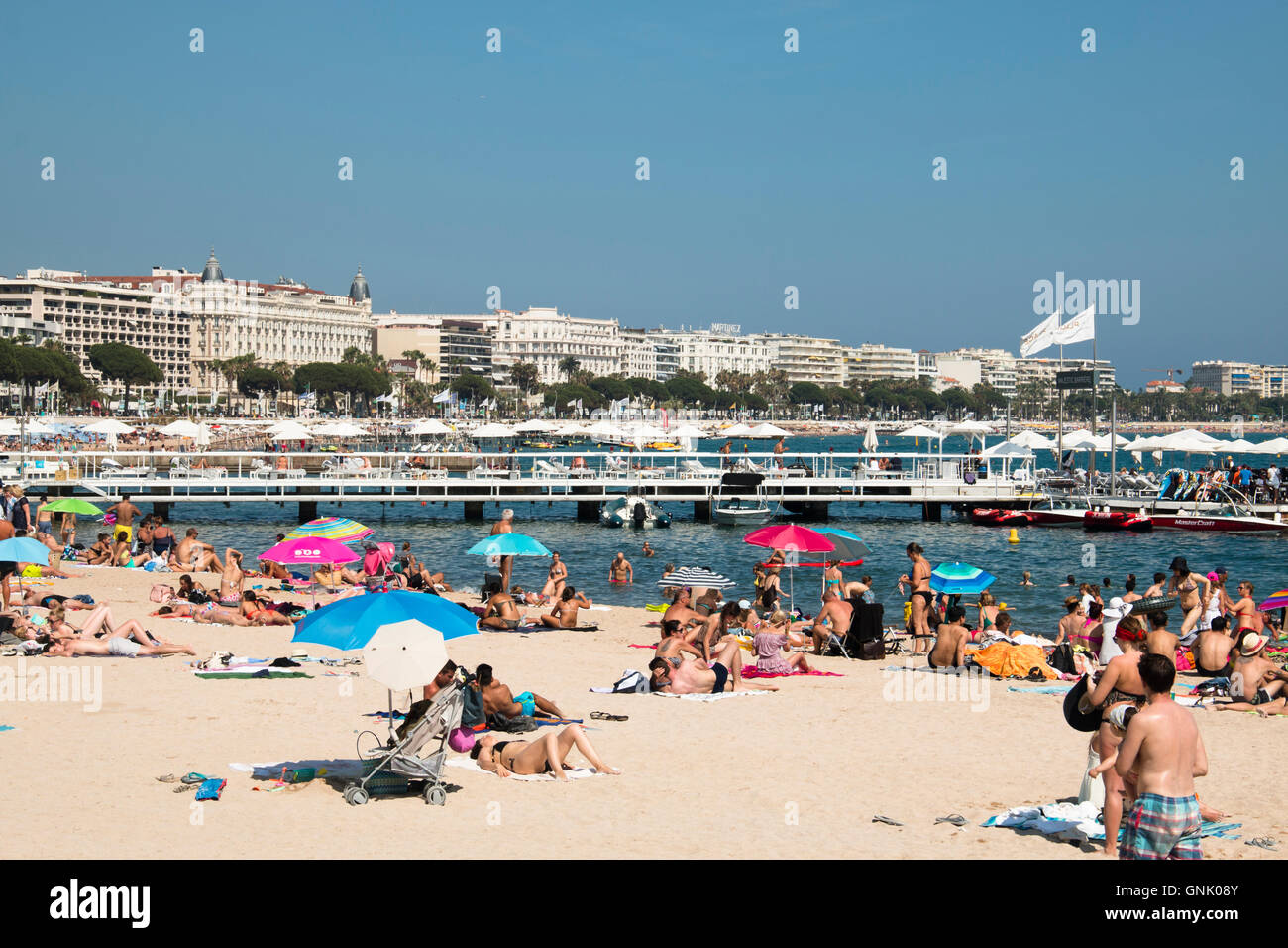 Strand of 10 christmas lights