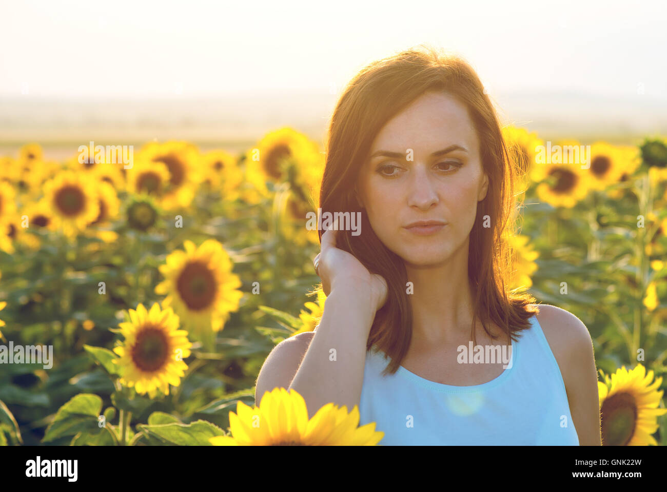 Woman in sunflower field at sunset Stock Photo - Alamy