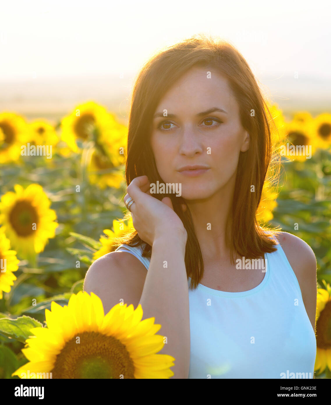 Woman in sunflower field at sunset Stock Photo - Alamy