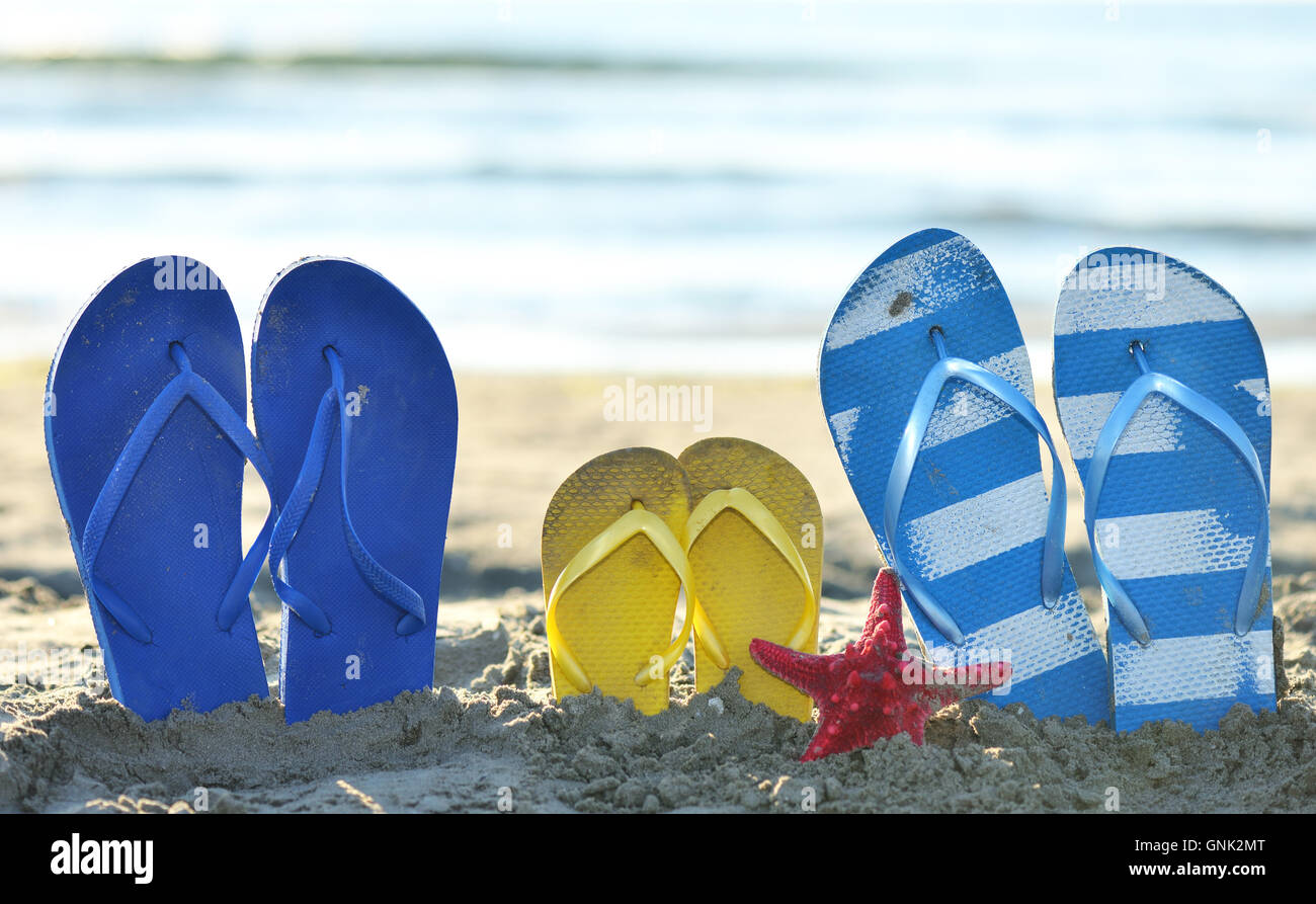Color Flip flops on the sandy beach next to sea Stock Photo - Alamy